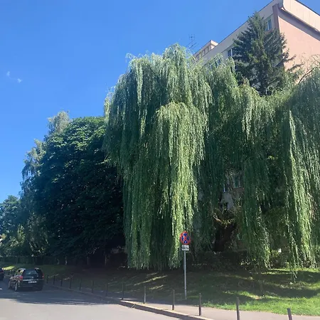 Victoriei Boulevard Private Braşov