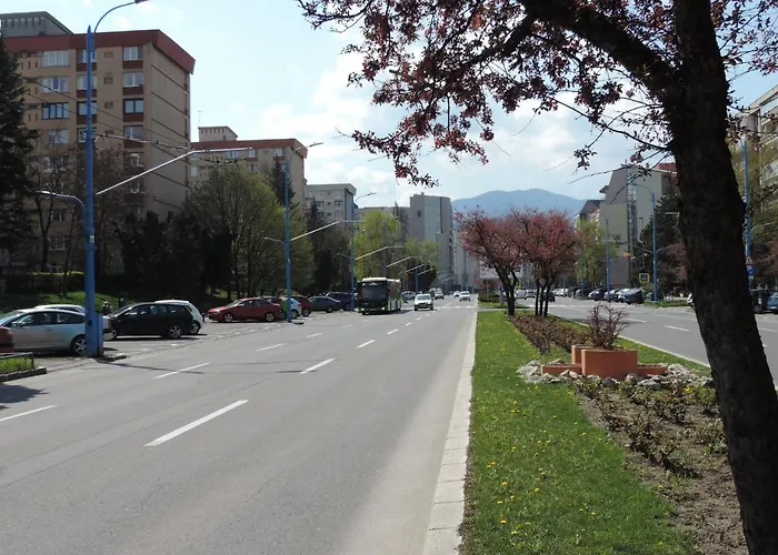 Victoriei Boulevard Private Appartement