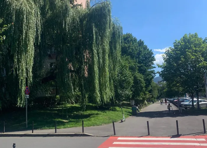 Victoriei Boulevard Private Apartment Brasov