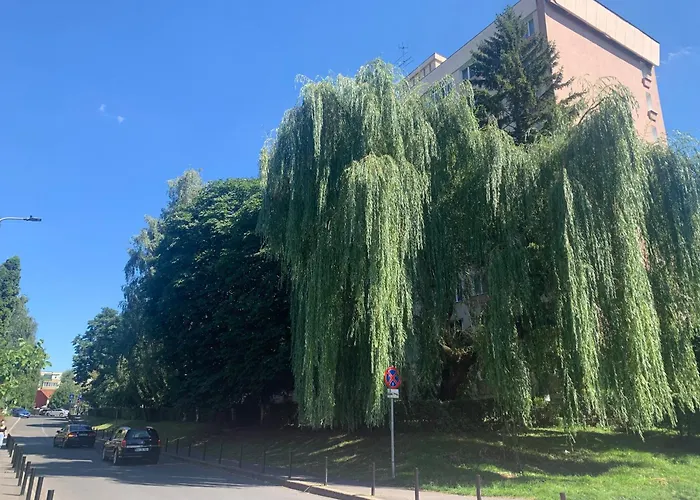 Victoriei Boulevard Private Braşov